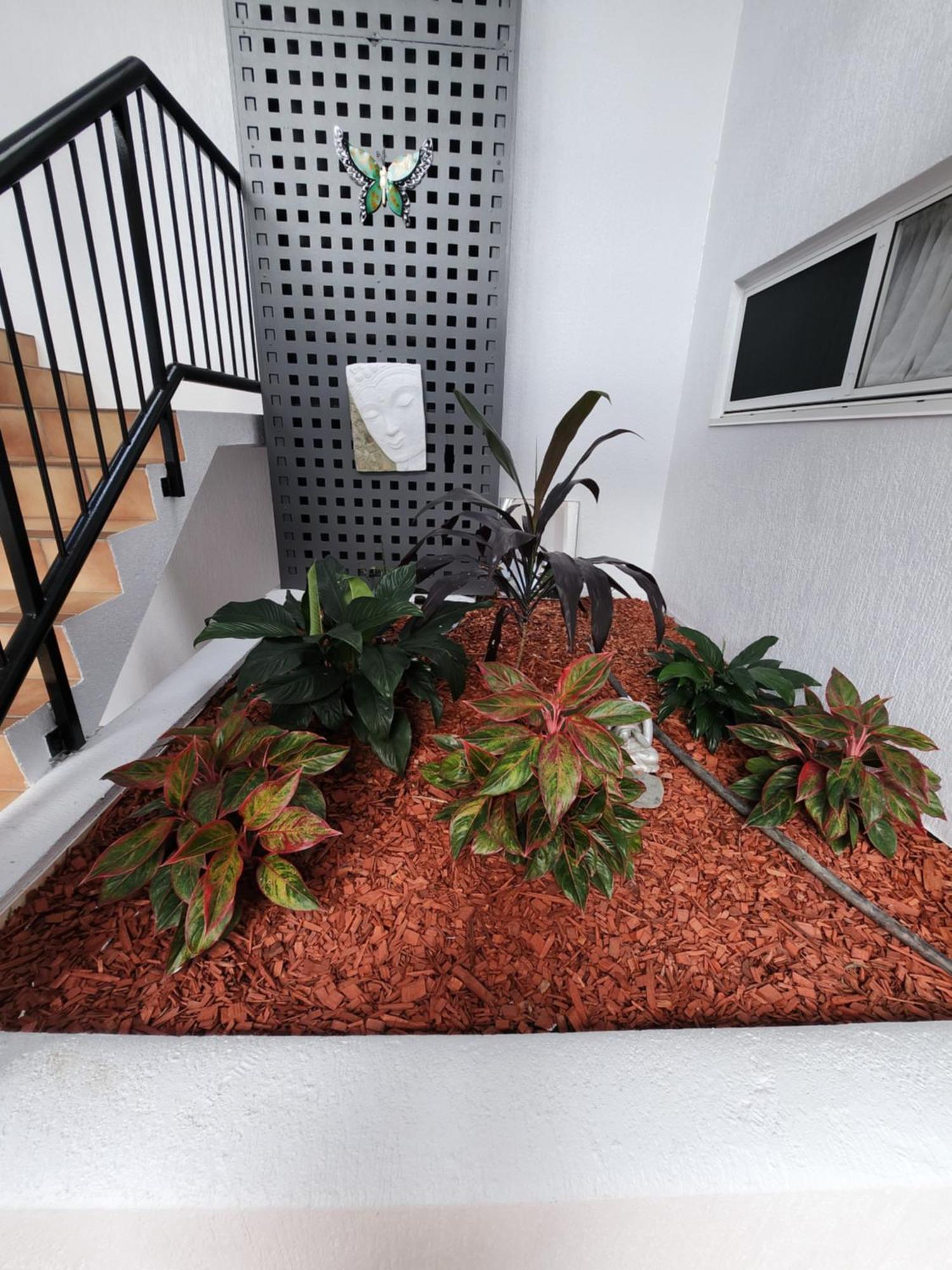 Villa Vaucluse Apartments Cairns Buitenkant foto